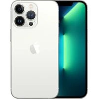 Apple iPhone 13 Pro 256GB stříbrný - Mobilní telefony