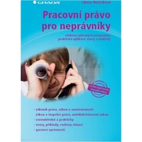Pracovní právo pro neprávníky - E-kniha