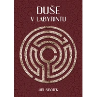 Duše v labyrintu - E-kniha