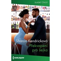 Překvapení pro šejka - E-kniha