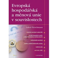 Evropská hospodářská a měnová unie v souvislostech - E-kniha