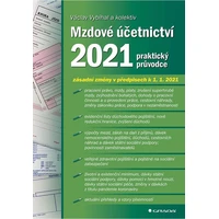 Mzdové účetnictví 2021 - E-kniha
