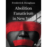 Abolition Fanaticism in New York - E-kniha