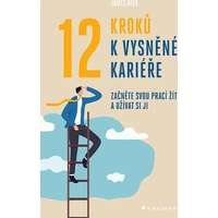 12 kroků k vysněné kariéře - E-kniha