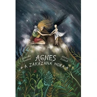 Agnes a Zakázaná hora - E-kniha