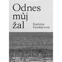 Odnes můj žal - E-kniha