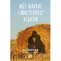 Můj návrat k Walterovic klukům - E-kniha