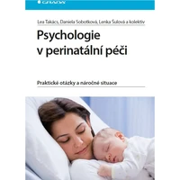 Psychologie v perinatální péči - E-kniha