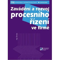 Zavádění a rozvoj procesního řízení ve firmě - E-kniha