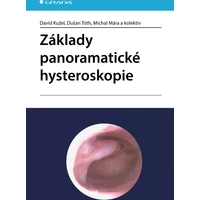 Základy panoramatické hysteroskopie - E-kniha