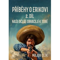 Příběhy o Erikovi 2 - E-kniha