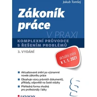 Zákoník práce v praxi - E-kniha