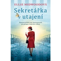 Sekretářka v utajení - E-kniha