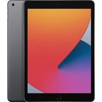 Apple iPad 10,2" 128GB Wi-Fi vesmírně šedý (2020) - Tablety