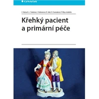 Křehký pacient a primární péče - E-kniha