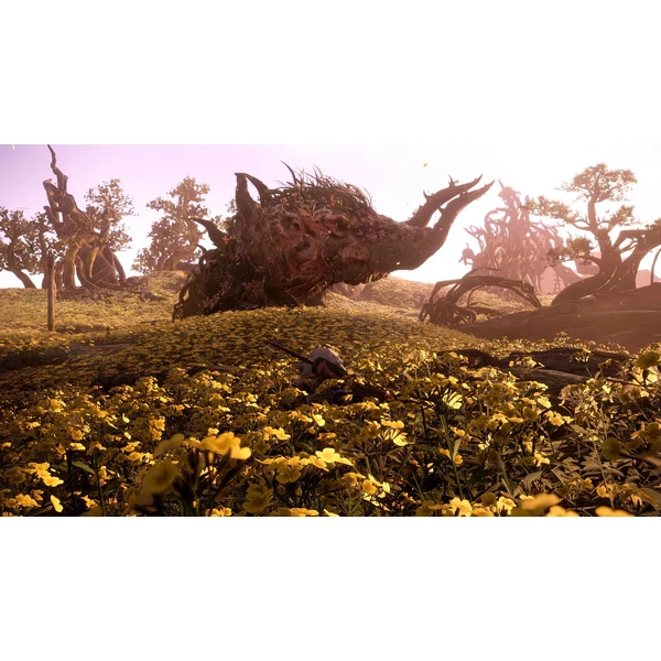 Wild Hearts (PS5) - Hry pro PS5 - Obrázek 1C4J100501