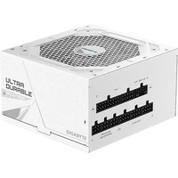 GIGABYTE GP-UD1000GM PG5 V2 ICE - Zdroje