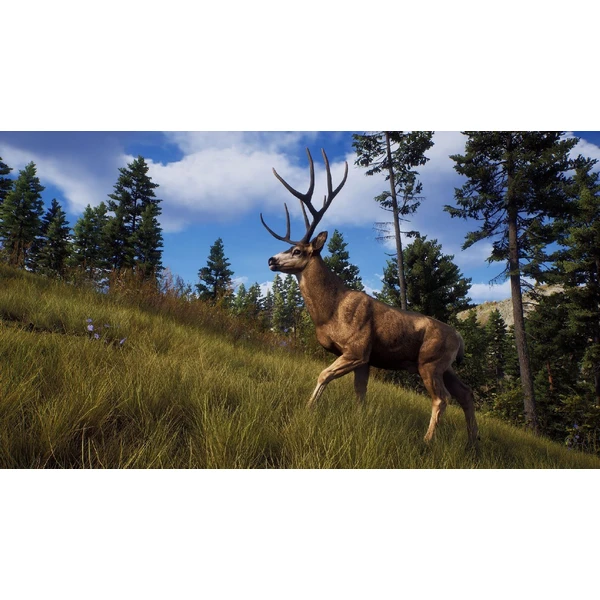 Way of the Hunter - Hunting Season One (PS5) - Hry pro PS5 - Obrázek 1EZ6000701