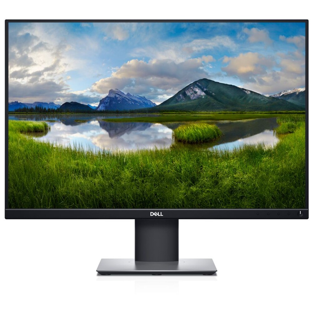 Dell Professional P2421 LED monitor 24