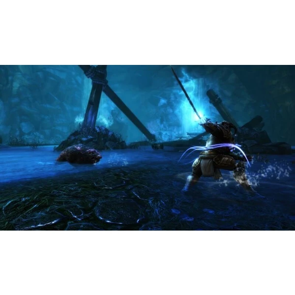 Kingdoms of Amalur: Re-Reckoning (SWITCH) - Hry pro Nintendo Switch - Obrázek 1LEO600301