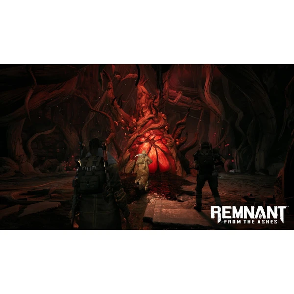 Remnant: From the Ashes (Switch) - Hry pro Nintendo Switch - Obrázek 1OGL300401