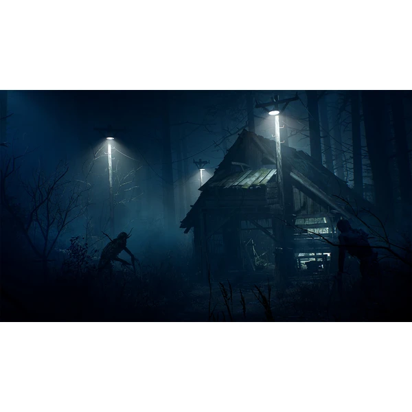 Blair Witch (PS4) - Hry pro PS4 - Obrázek 1SS3100201