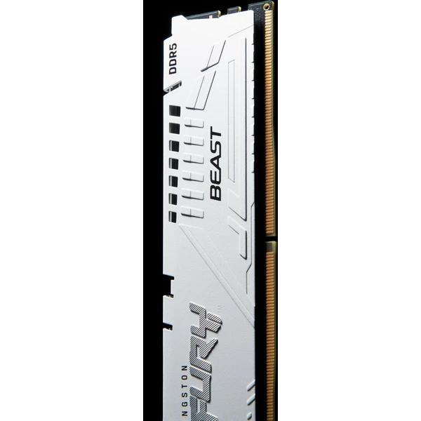 Kingston FURY Beast White DDR5 32GB 5600MT/s CL36 DIMM (2x16GB) EXPO/XMP - Operační paměti - Obrázek 1XWN100501