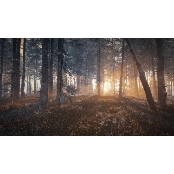 The Hunter: Call of the Wild 2019 Edition (PS4) - Hry pro PS4 - Obrázek 1ZXPF00101