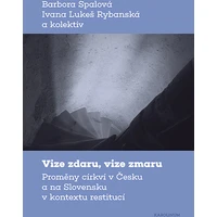 Vize zdaru, vize zmaru - E-kniha