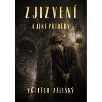 Zjizvení - E-kniha