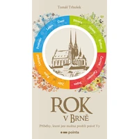 Rok v Brně - E-kniha