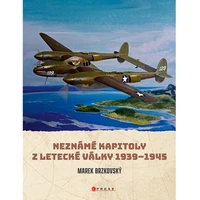 Neznámé kapitoly z letecké války - E-kniha