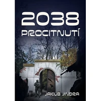 2038 - E-kniha