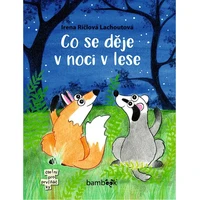 Co se děje v noci v lese - E-kniha