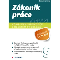 Zákoník práce v praxi - E-kniha