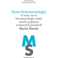 Sono-fenomenologie - E-kniha