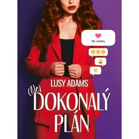 Dokonalý plán - E-kniha