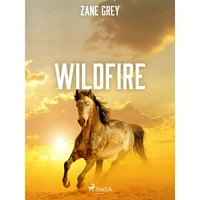 Wildfire - E-kniha