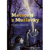 Meteorit z Mušlovky - E-kniha
