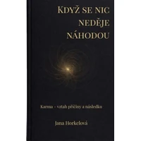 Když se nic neděje náhodou - E-kniha