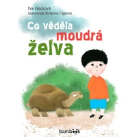 Co věděla moudrá želva - E-kniha