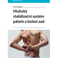 Hluboký stabilizační systém páteře a bolest zad - E-kniha