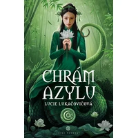 Chrám Azylu - E-kniha