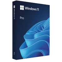 Microsoft Windows 11 Pro 64-bit CZ OEM DVD licence - Software