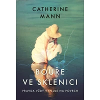 Bouře ve sklenici - E-kniha