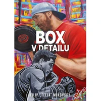 Box v detailu - E-kniha