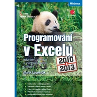 Programování v Excelu 2010 a 2013 - E-kniha