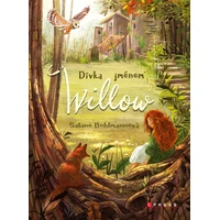 Dívka jménem Willow - E-kniha