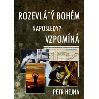 Rozevlátý bohém naposledy? vzpomíná - E-kniha