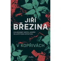 V kopřivách - E-kniha